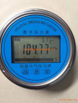“湘潭數字式壓力表mds200“/