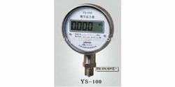 “合肥數(shù)字壓力表信號如何顯示在電腦上“/