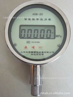“青島壓力表sv顯示數字代表什么“/