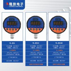 “寶雞進口精密數字壓力表“/