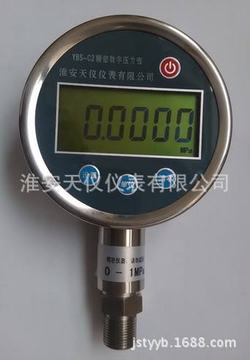 “沈陽數顯壓力表屬于哪個類目“/