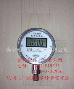 “合肥sw系列智能數字壓力表“/